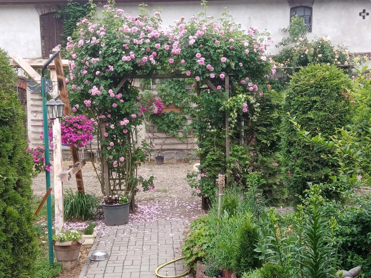 Gospodarstwo Agroturystyczne Casa di campagna *