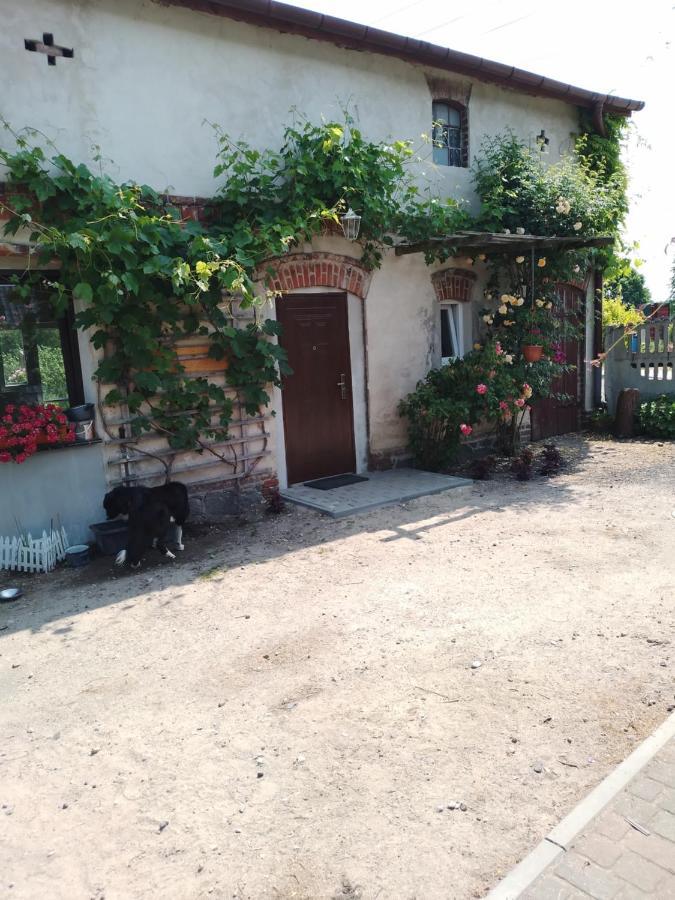 Gospodarstwo Agroturystyczne Casa di campagna Węgorzyno