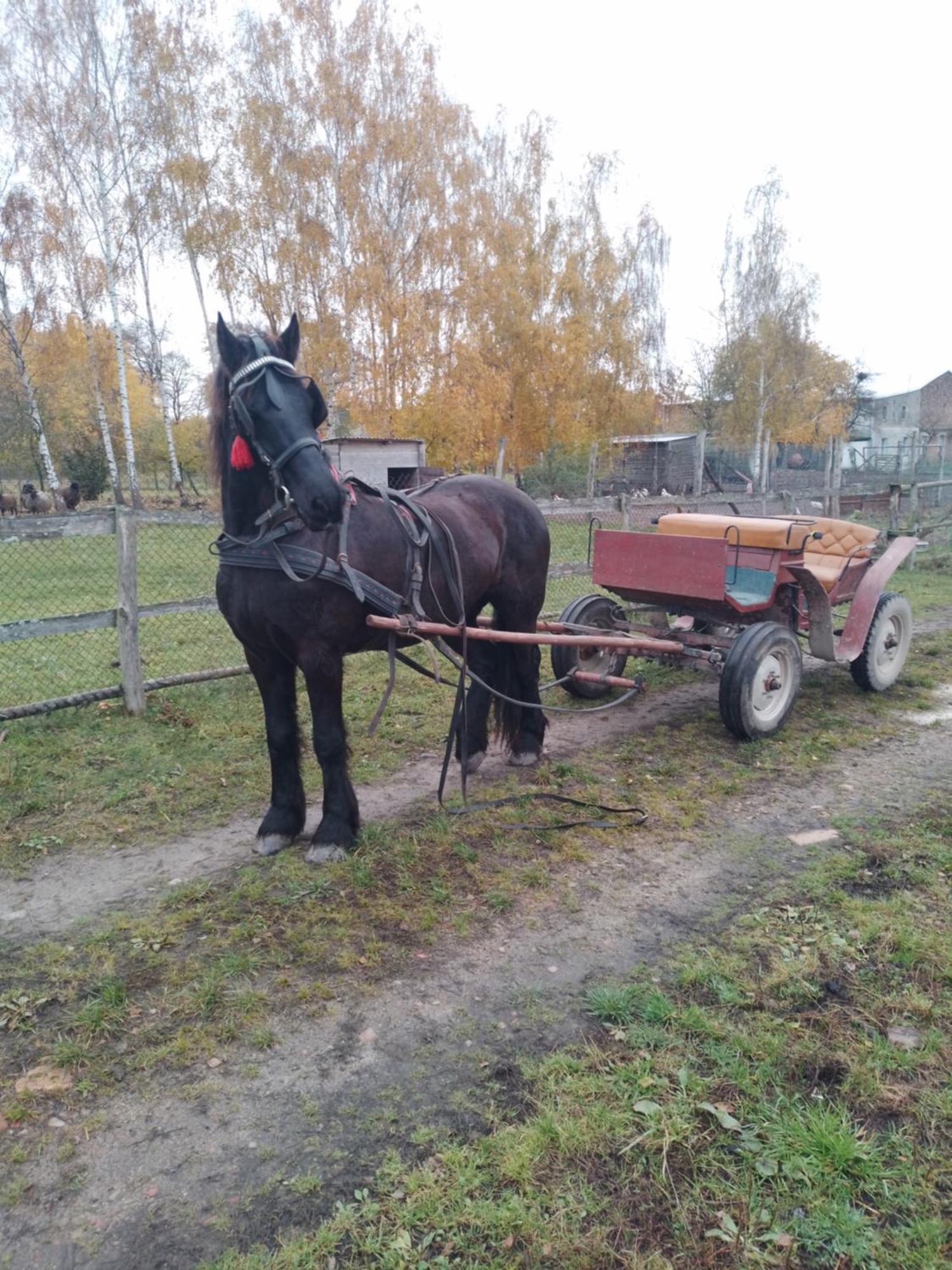 Casa di campagna Gospodarstwo Agroturystyczne Węgorzyno