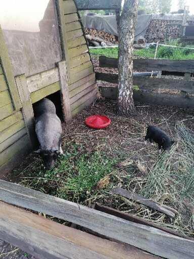 Gospodarstwo Agroturystyczne Casa rural Węgorzyno