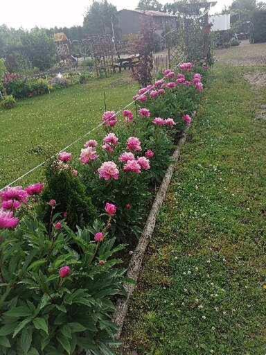 Casa di campagna Gospodarstwo Agroturystyczne